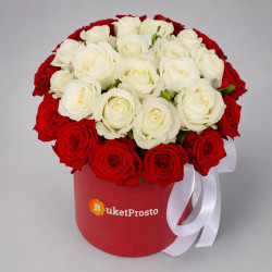25 красных и белых роз в коробке